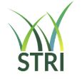 STRI Group