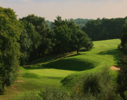 Mannings Heath Punchbowl from tee