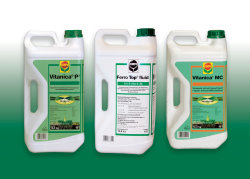 New from British Seed Houses