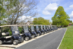 Some of the new fleet in the purpose-built buggy park