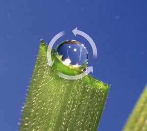 Heritage Maxx - droplet recycling