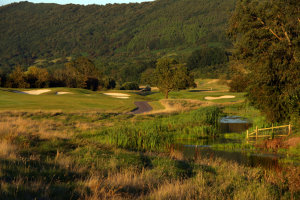 The 5th hole on 2010 Course (photo by David Cannon, Getty Images)