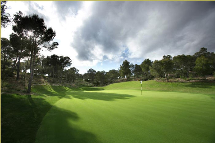 Las Colinas 7th Green