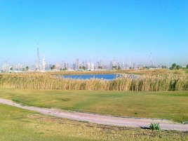 Dubai as seen from Meydan