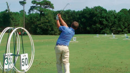 Standard Golf Target System
