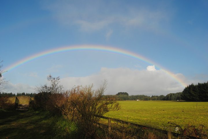Site of Christchurch Golf Resort