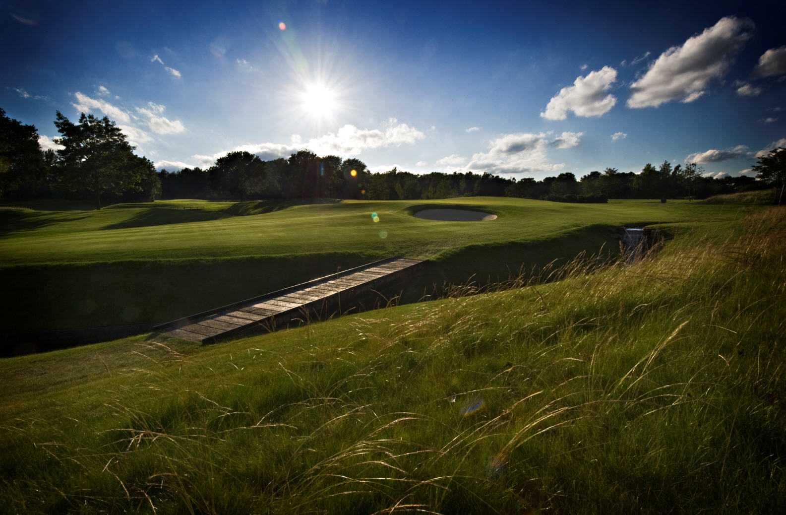 The Wisley Bridge over Burn