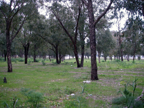 Site of Tunis Sports City