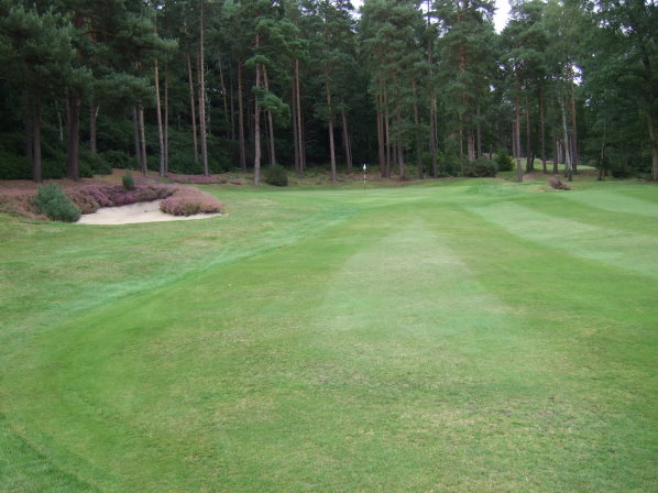 St George's Hill Green #5