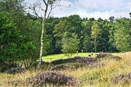 Mannings Heath Kingfisher Course hole 1