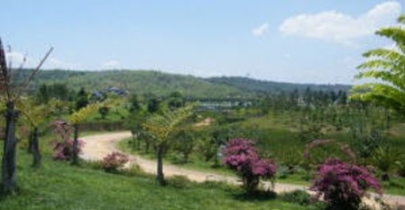 Site of the new resort golf course