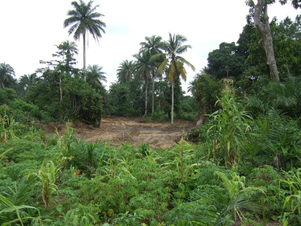 Calabar Greensite - hole 2