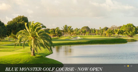 Image from Trump Blue Monster website