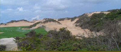 Bluffs Ho Tram Strip 