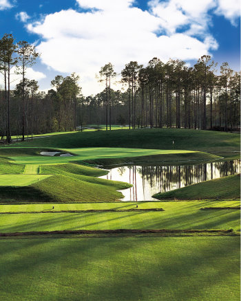 The par-3 17th at TPC Myrtle Beach