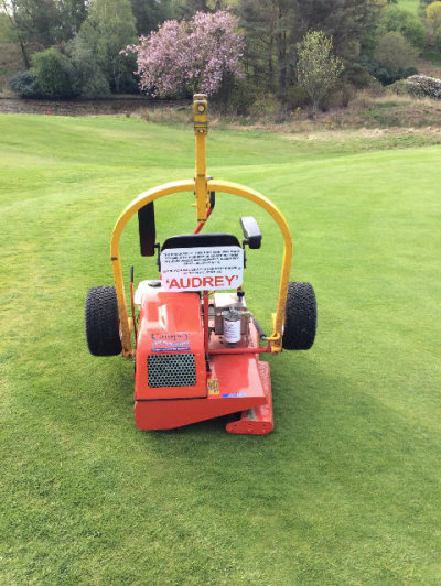 'Audrey' the greens roller