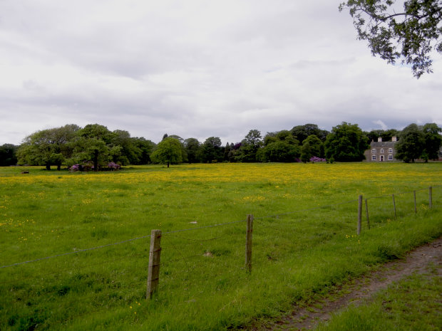 View to Woolsington Hall