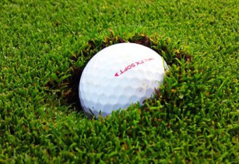 Plugged ball in Poa