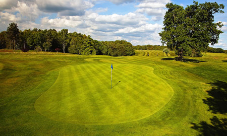 Newbury & Crookham 13th Green and Fairway
