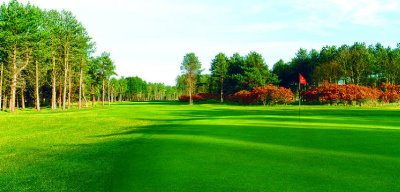 Fidra Links 7th hole