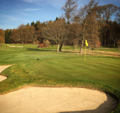 Close House Yearling Course