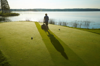 Summer turf management