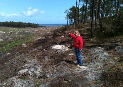 Principal Architect Cynthia Dye Inspecting the Clearing of Hole 4