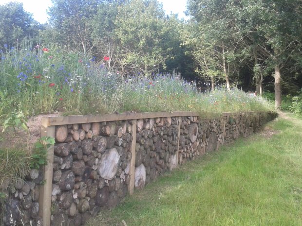 Richmond Golf Club – Living Wall, winner of Outstanding Environmental Project of the Year