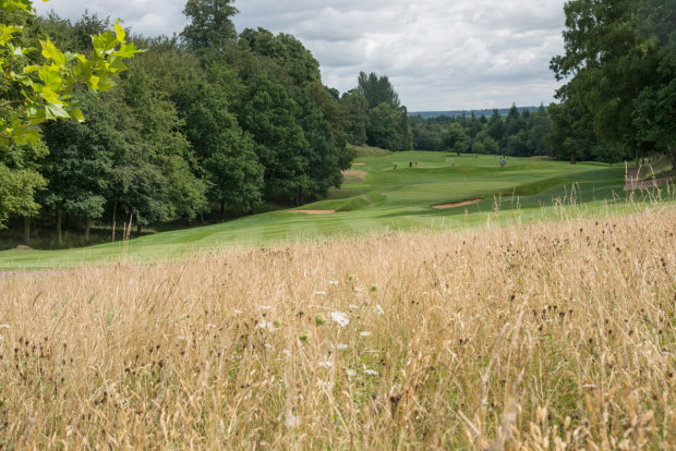 Rescue-treated rough