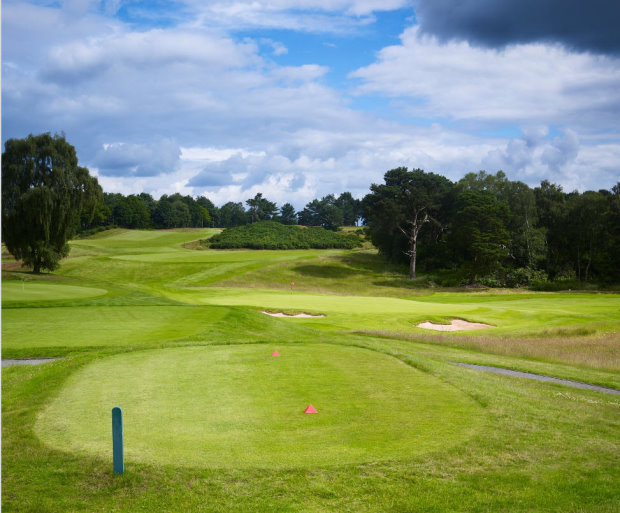 Cabrio provides class-leading fineness of leaf with a score of 8.8, making it ideally suited for use on golf tees, fairways and greens surrounds