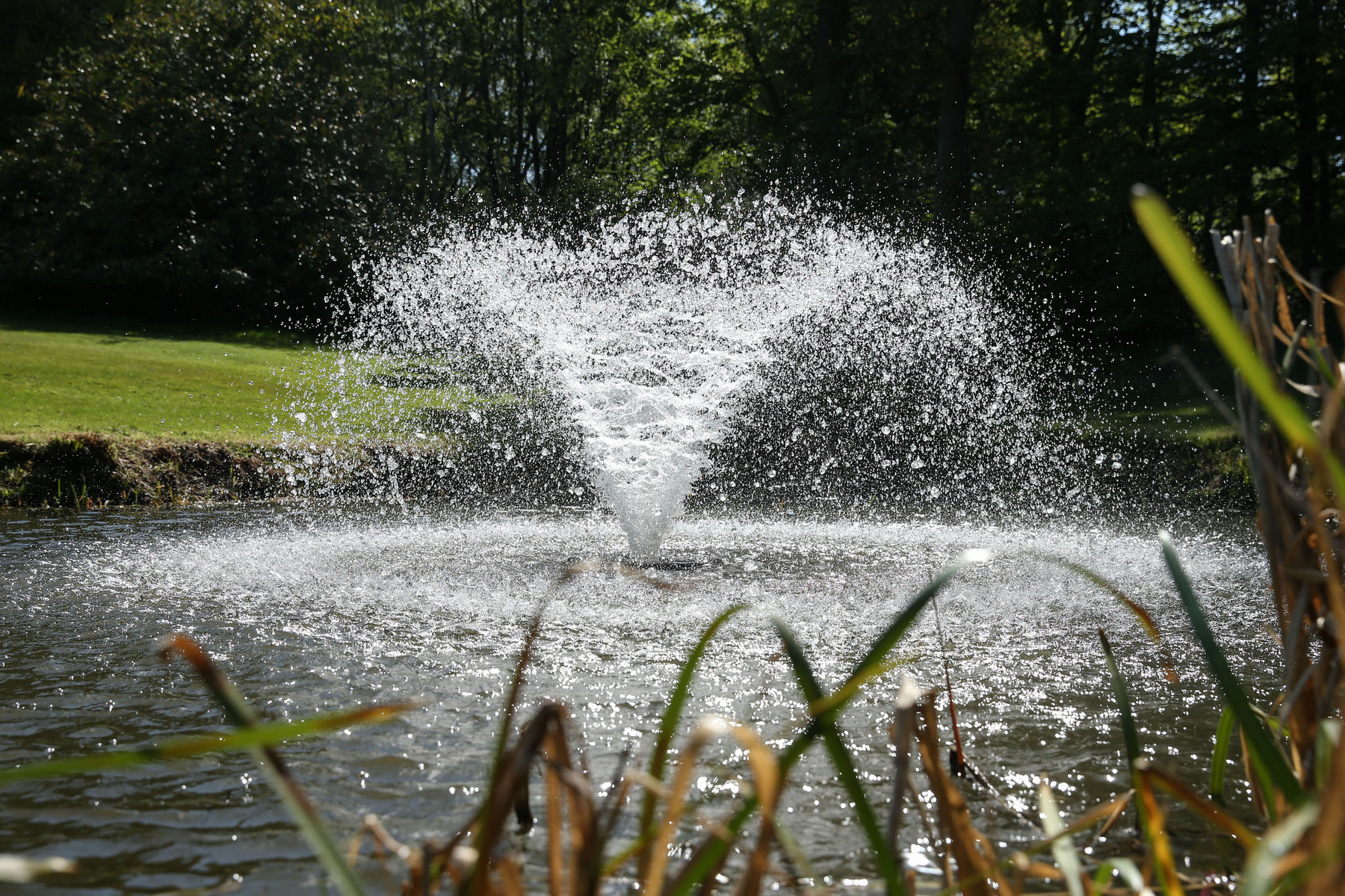 One of two Otterbine Fractional five-in-one aerating fountains installed at Brickendon Grange Golf Club in celebration of its golden jubilee.