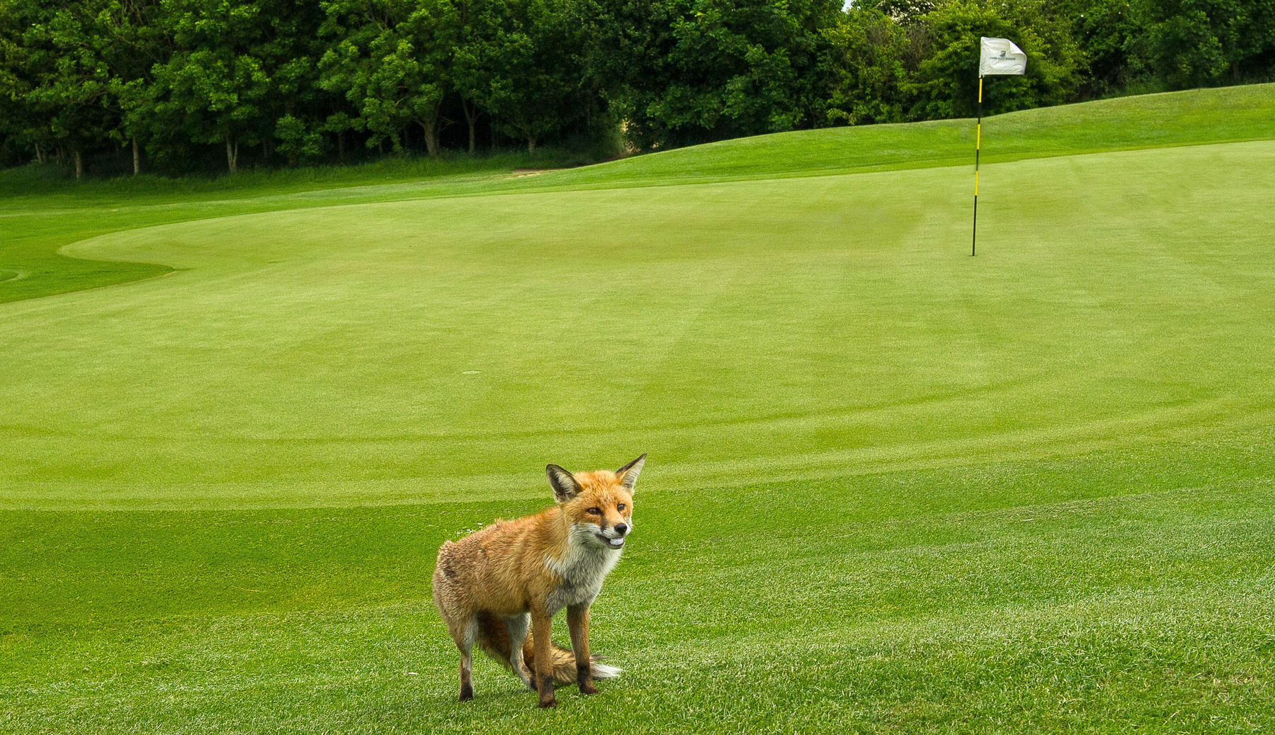 (credit Magic Hour Media)