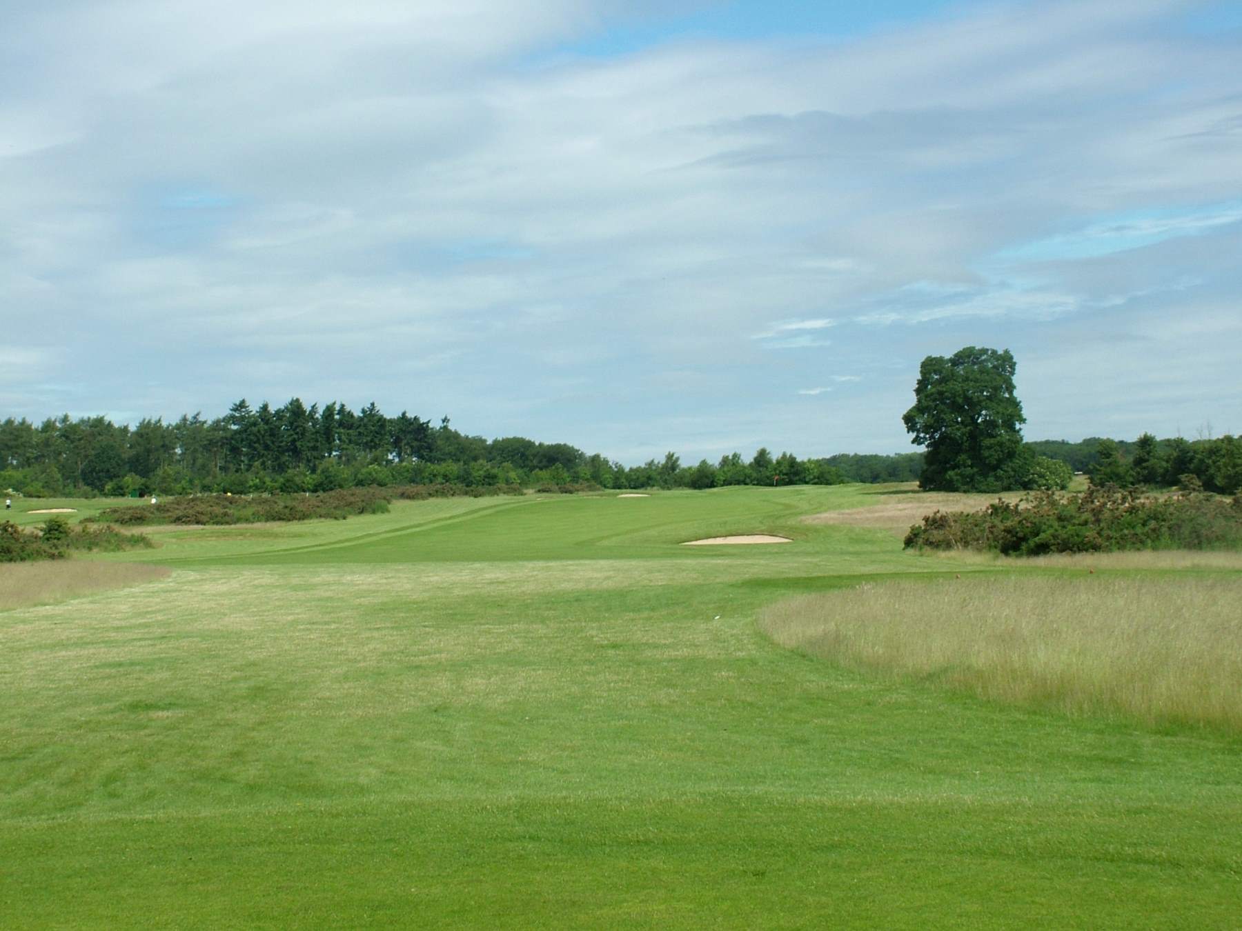 Caversham Heath GC, near Reading in Berkshire is open for walking and jogging