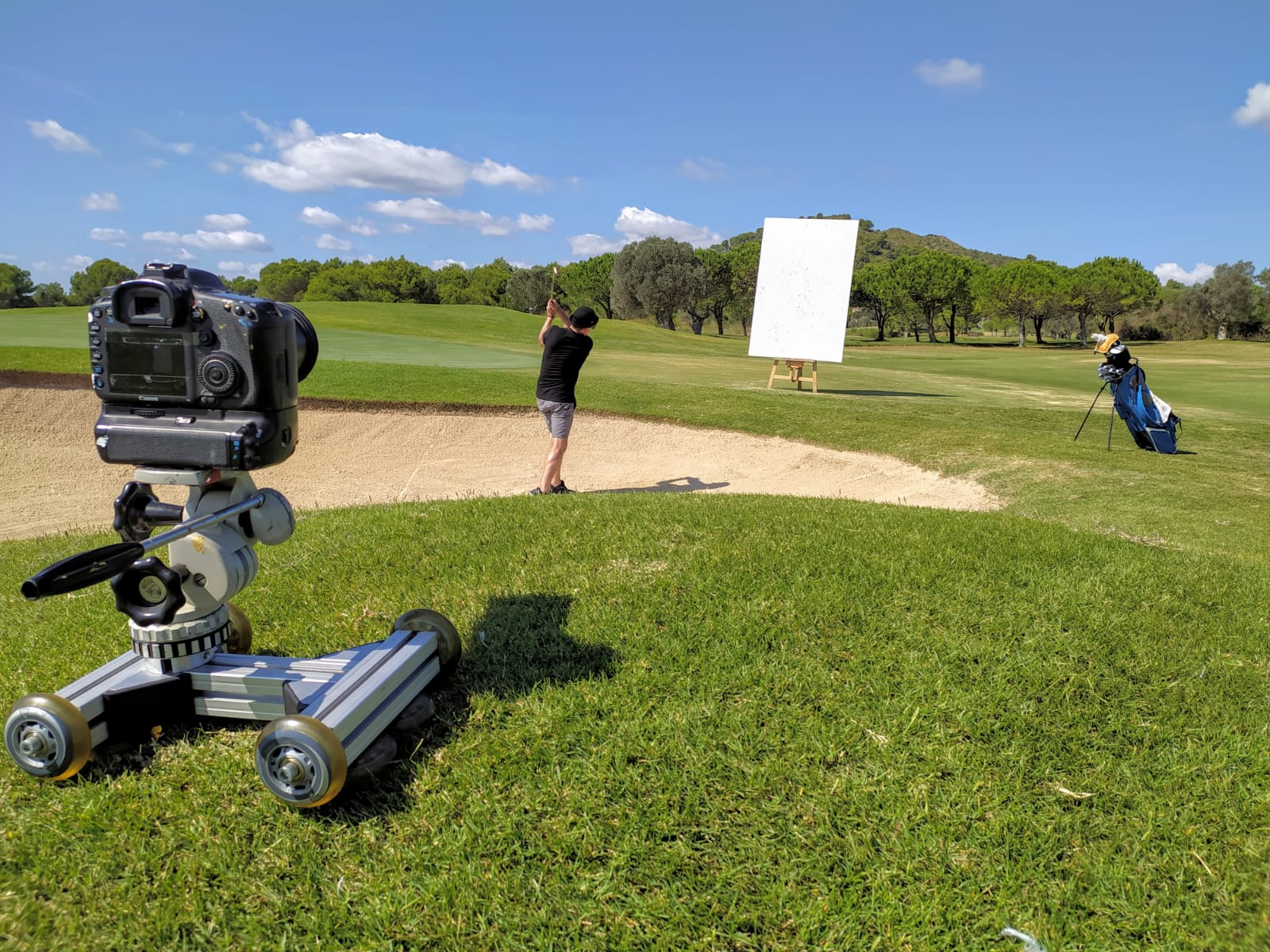 Alcanada Canvas in action