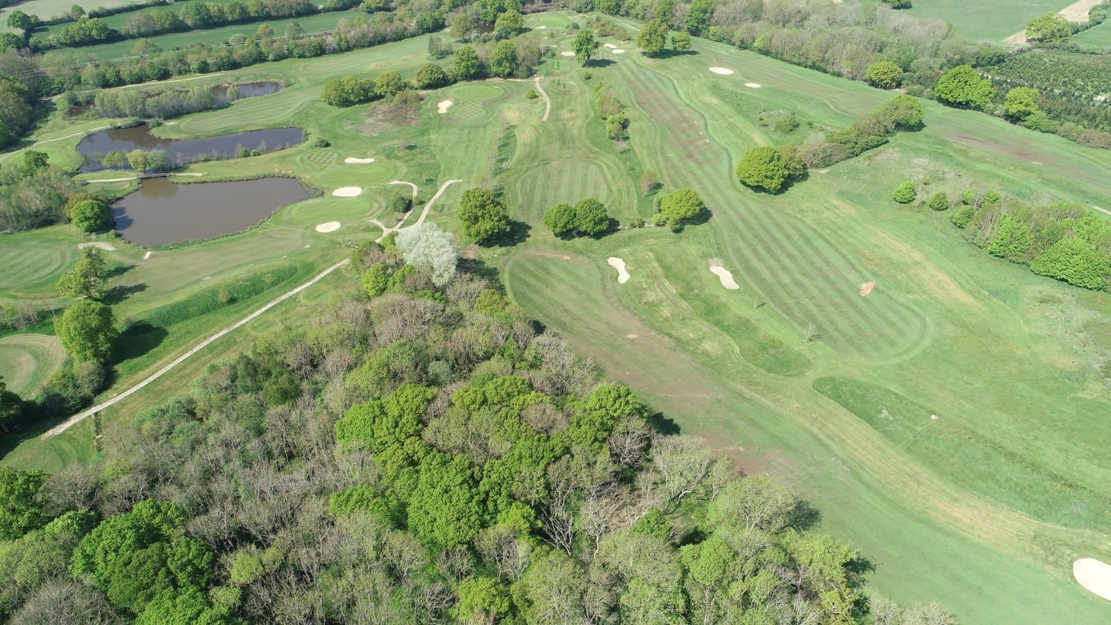 Leatherjackets Widespread damage at Nizels Golf Club