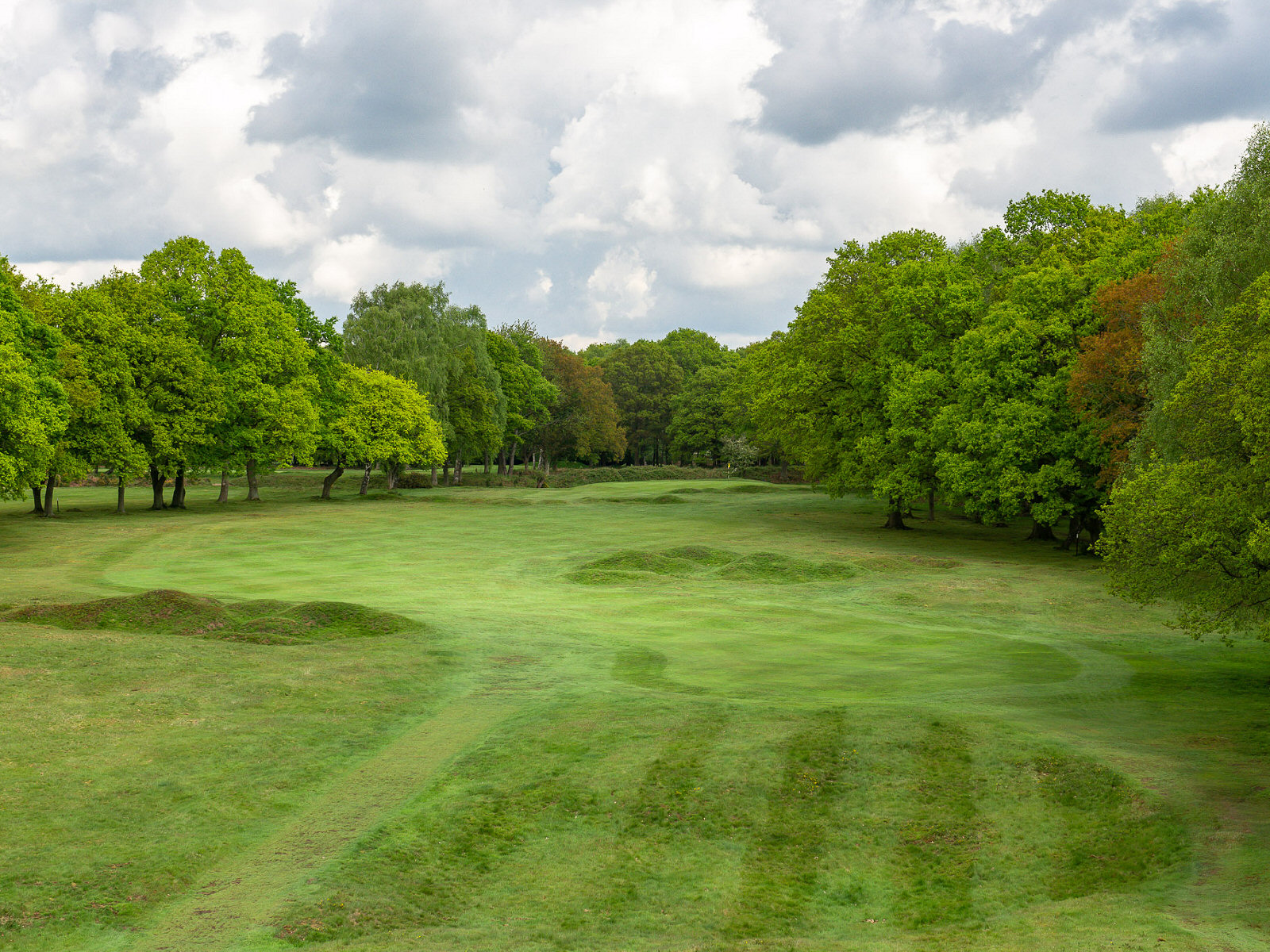 Turfgrass has helped to enhance the greens, tees and fairway conditioning at Berkhamsted