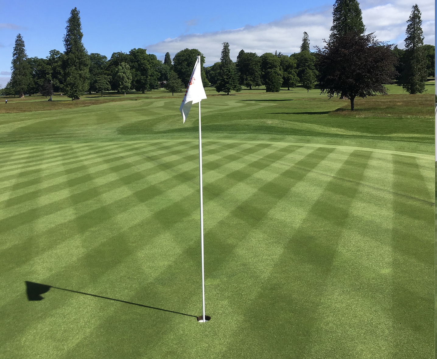 Rushmore Golf Club's playing surfaces have never looked better