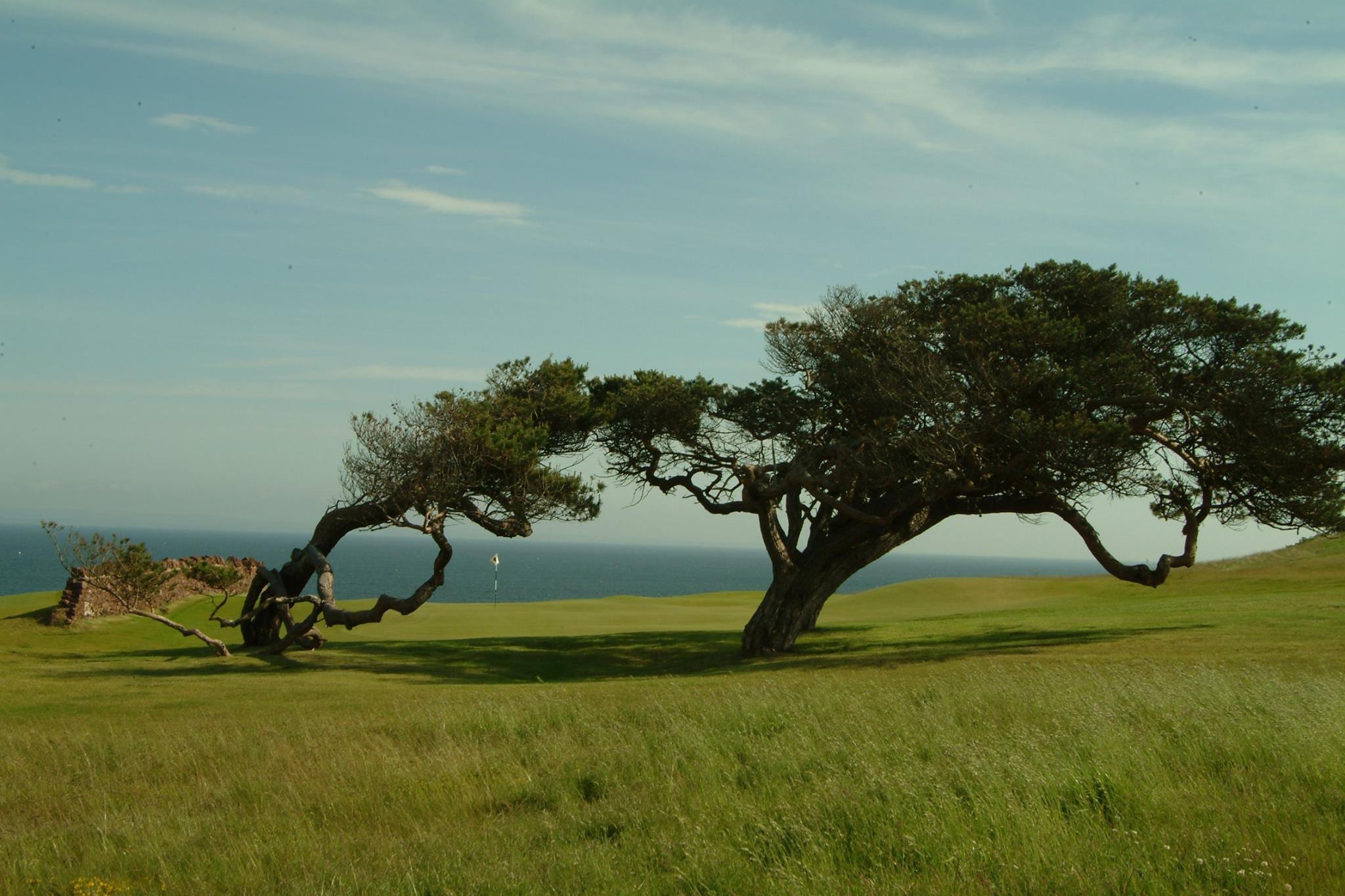 The Reanaissance Club, host of last week's Genesis Scottish Open worked in collaboration with the GEO Foundation for Sustainable Golf to help reduce its impact on the climate and the environment 