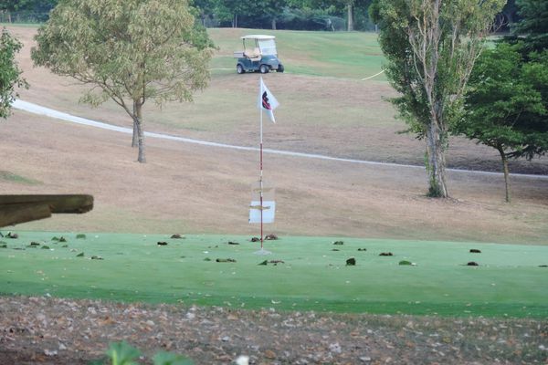 Several golf course in southern France have had their greens damaged and the cups filled in with concrete as a protest against golf clubs continuing to water the greens during the drought 