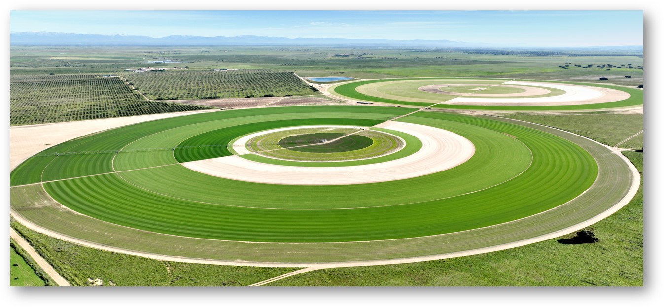 Novogreen boasts four turf farms located across Spain and Portugal