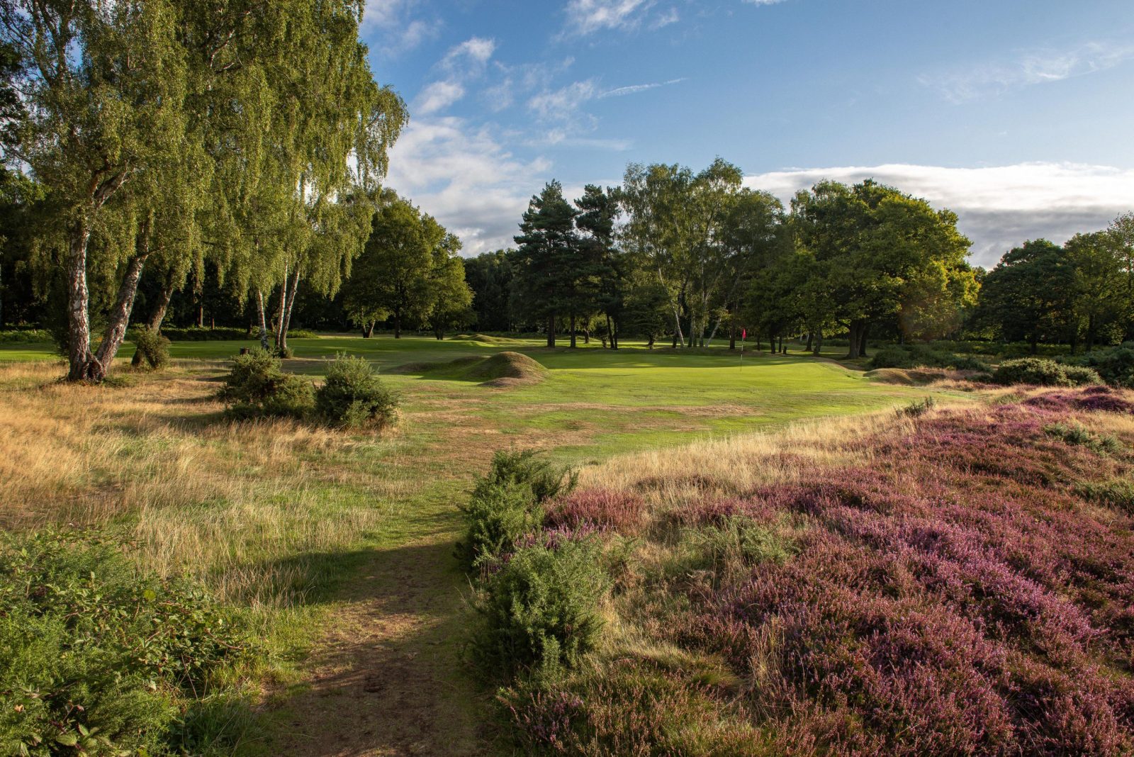 Berkhamsted Golf Club (photo Andy Hiseman)
