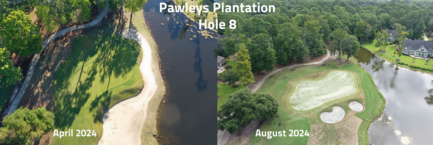 Pawleys #8 
