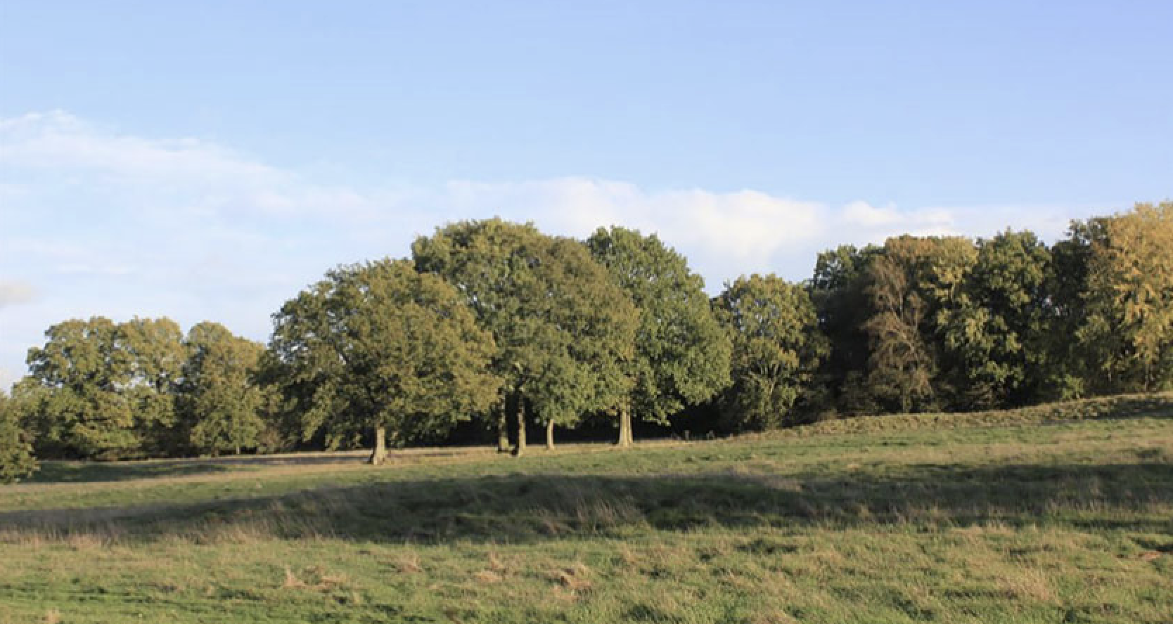 The site of the former Wildwood G&CC in Surrey