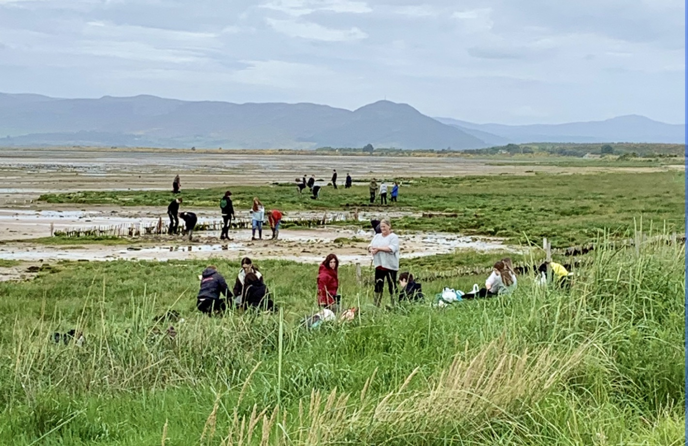 Dornoch Academy youngsters have been helping with the golf club's saltmarsh project
