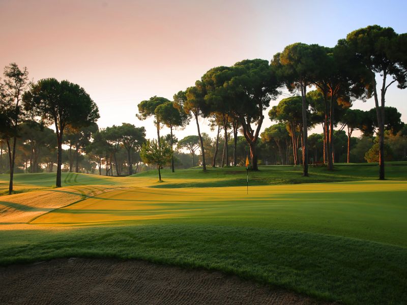 Gloria Golf - new  #15