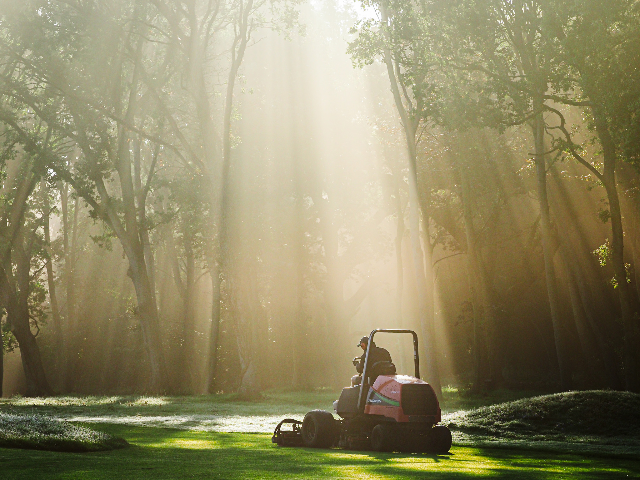 Joe Simpson's photo of Ipswich GC was selected as the overall winner