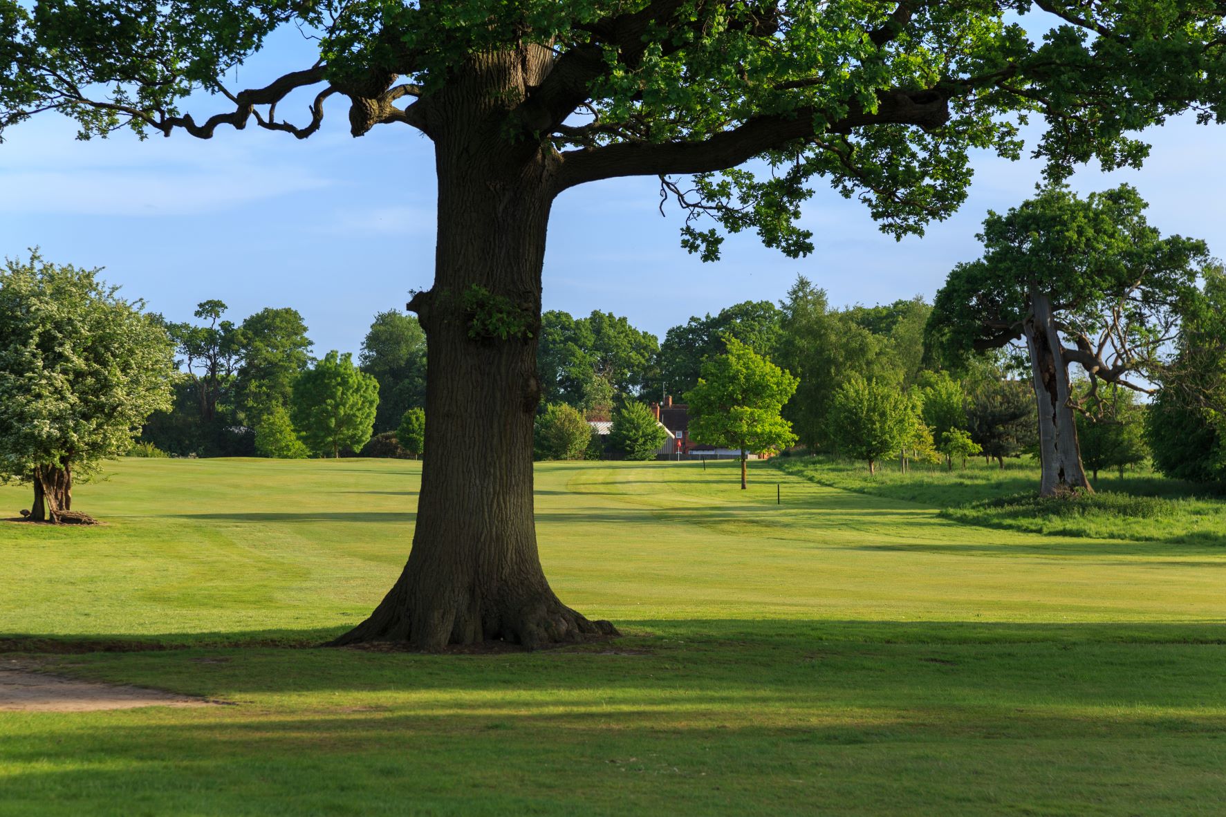 Royal Ascot Golf Club Hole 18