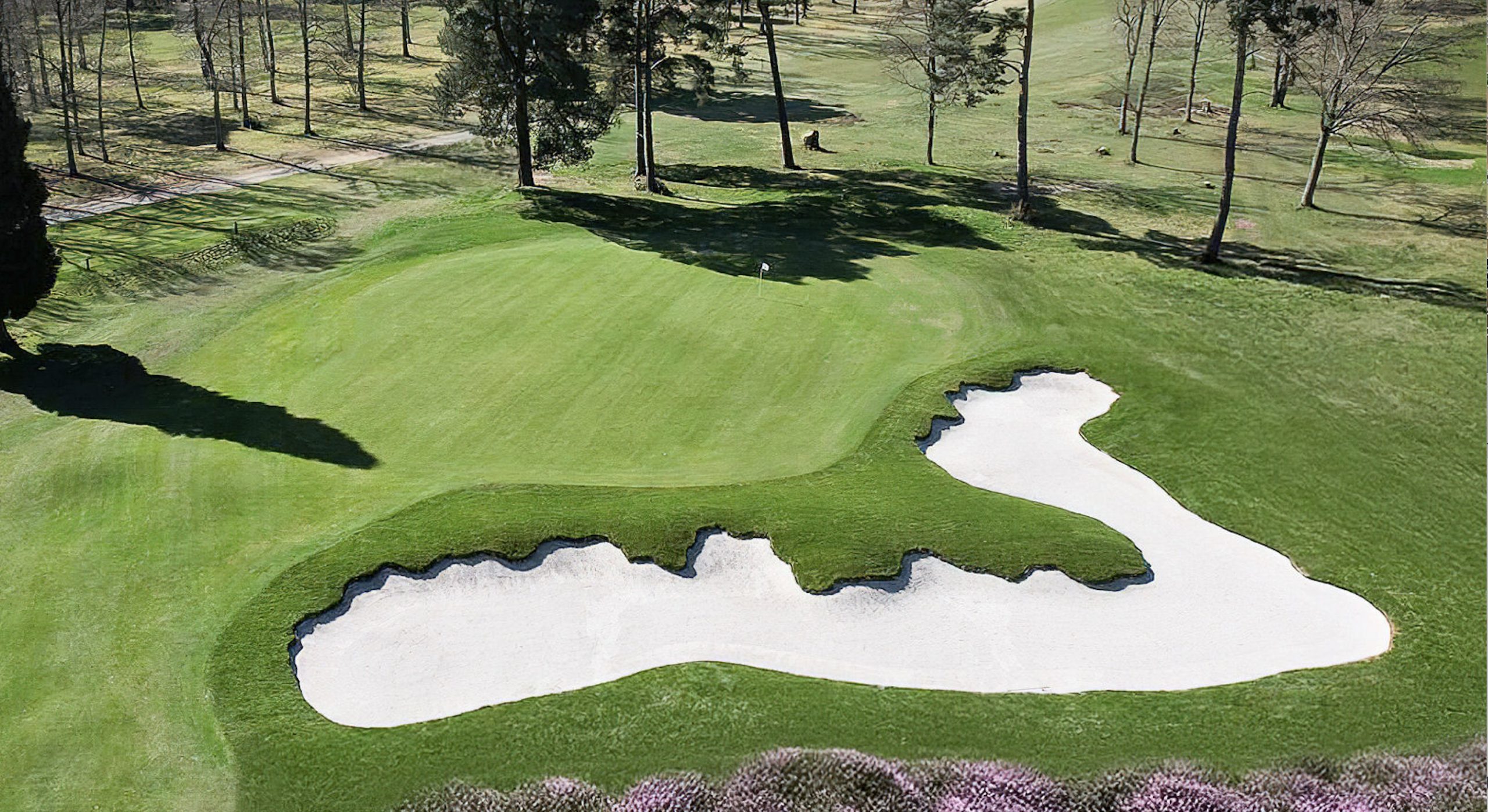 North Hants Golf Club's heathland course has been renovated by McKenzie & Ebert 