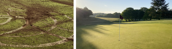 One of the damaged greens and how it looked after being repaired by Thorndon Park's greenkeeping team 