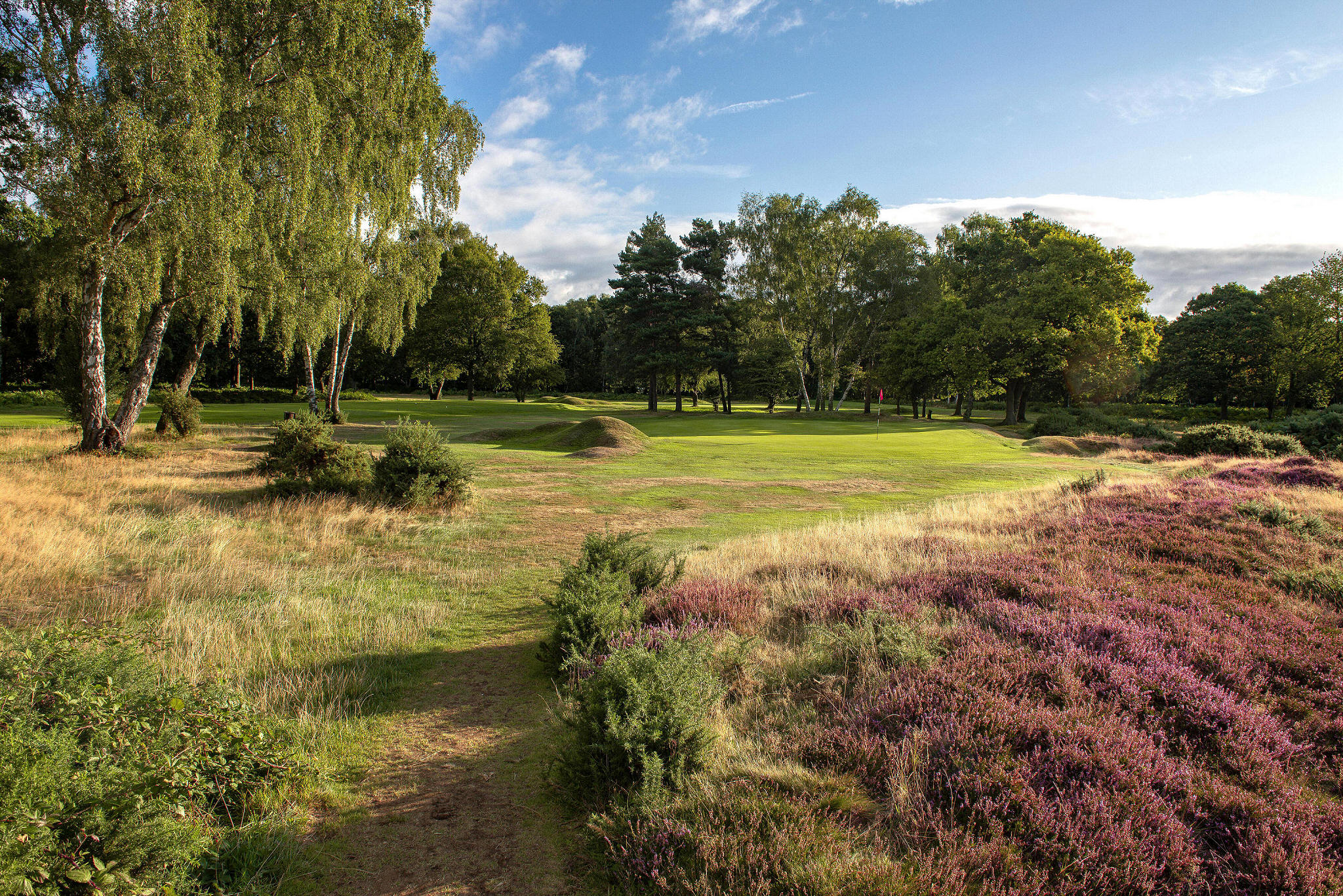 Berkhamsted's historic heathland course is set to be renovated 